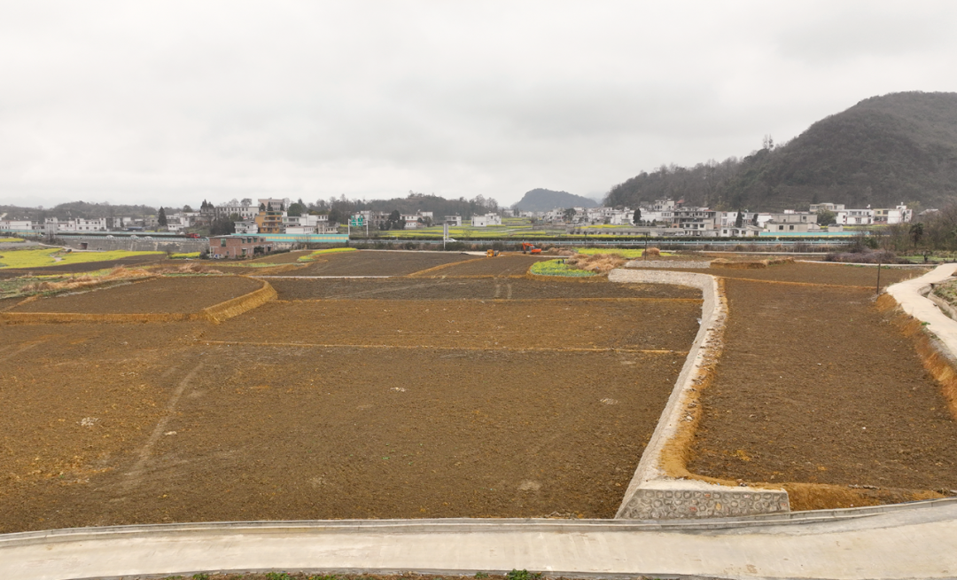 【“强省会”清镇在行动】清镇市：高标准农田建设助力春耕生产