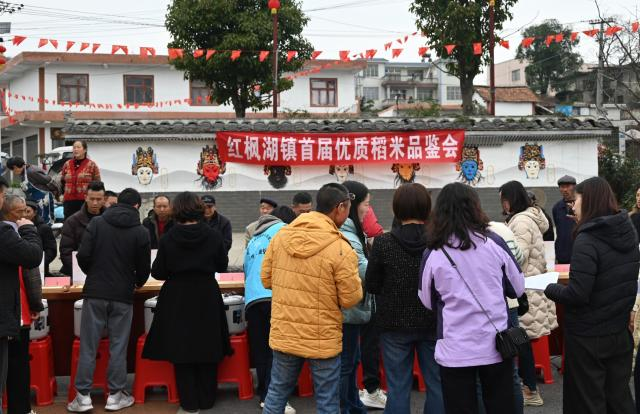清镇:红枫湖畔稻米争“香” 品出乡村振兴好味道