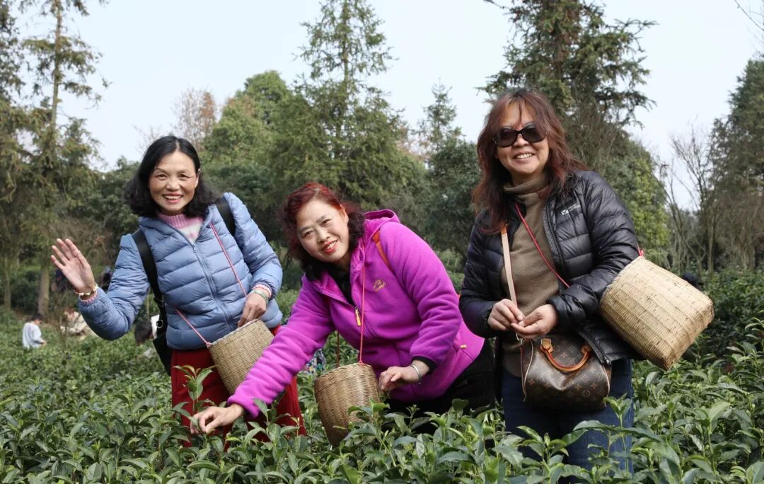 茶文旅融合 让清镇“春日经济”鲜起来