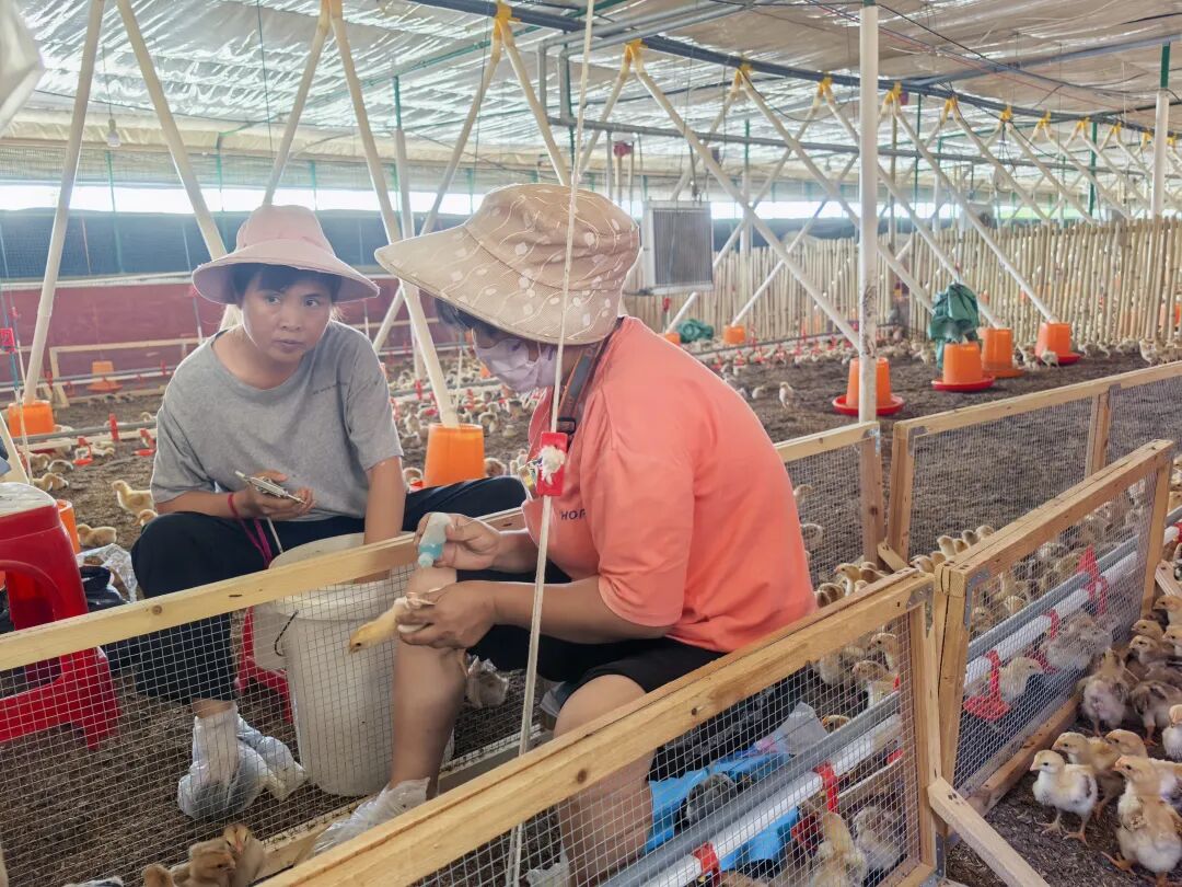 科技赋能　服务惠民！清镇市农业社会化服务绘就乡村振兴新图景