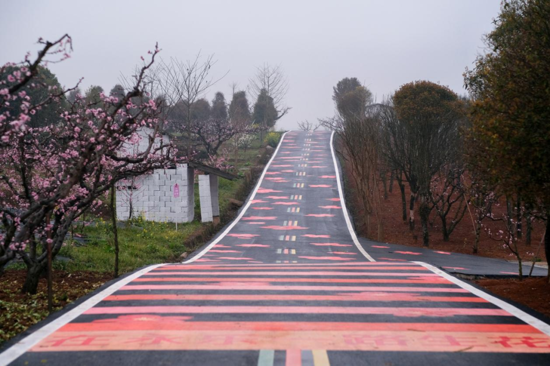 永乐桃花跑赛道新增春日打卡点 跑进春天里，每一步都是一眼万年