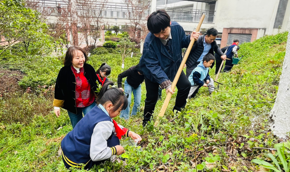 云岩区教育局机关党支部：以“教育初心”守护“生态底色” 植树添绿践行“两山”理念