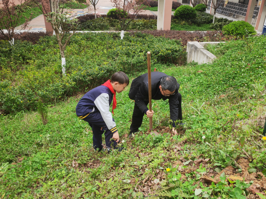 云岩区教育局机关党支部：以“教育初心”守护“生态底色” 植树添绿践行“两山”理念