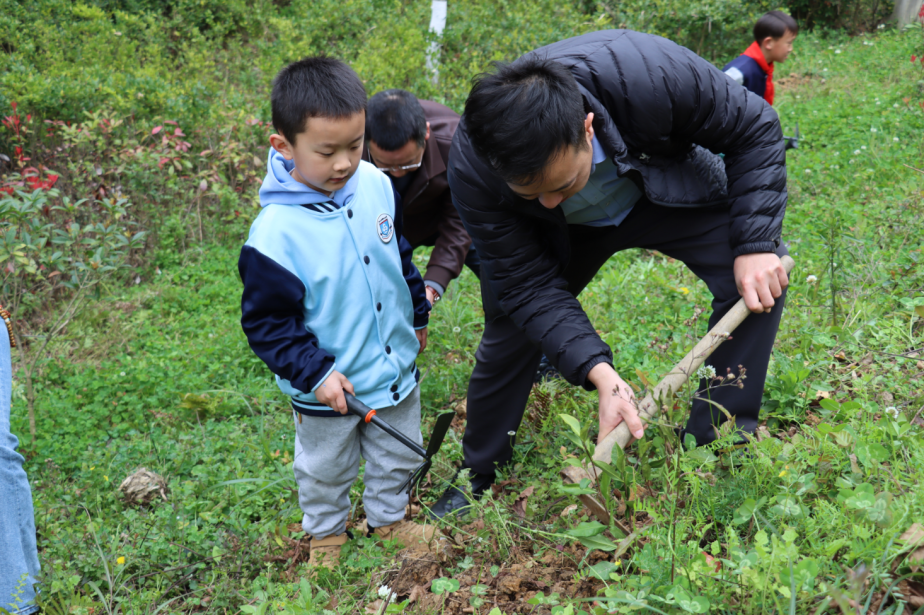 云岩区教育局机关党支部：以“教育初心”守护“生态底色” 植树添绿践行“两山”理念