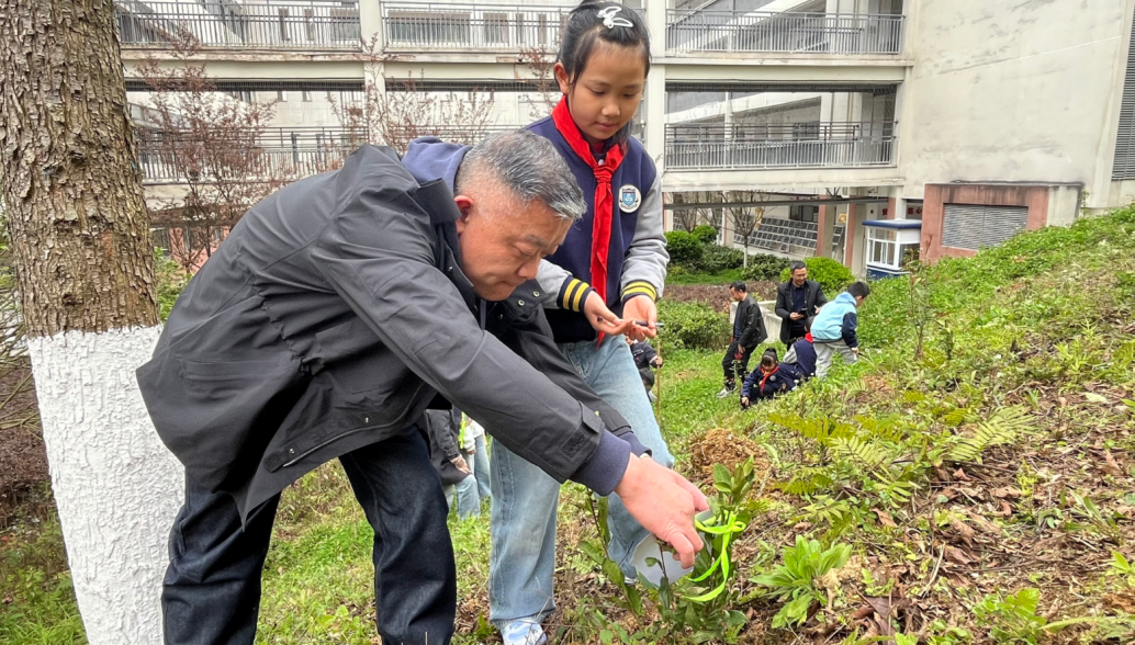 云岩区教育局机关党支部：以“教育初心”守护“生态底色” 植树添绿践行“两山”理念