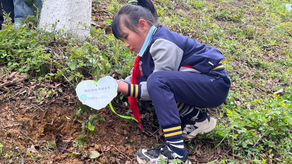 云岩区教育局机关党支部：以“教育初心”守护“生态底色” 植树添绿践行“两山”理念