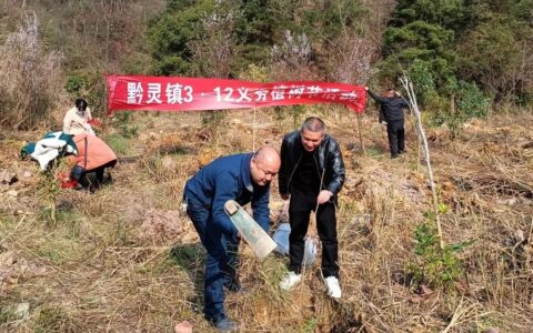 第46个植树节，云岩区积极开展义务植树活动