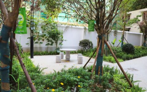 云岩区：老旧小区展新颜 居民乐享新生活