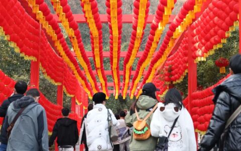 旅游市场强劲回暖！云岩区春节期间接待游客超48万人次 旅游收入4.6亿余元