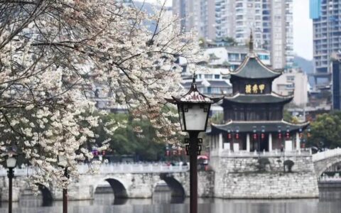 南明：以“旅发”之名，赴美好之约