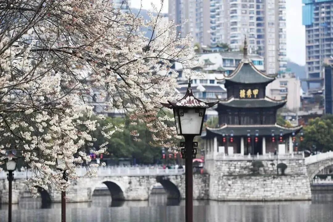 1.jpg 南明:以“旅发”之名,赴美好之约