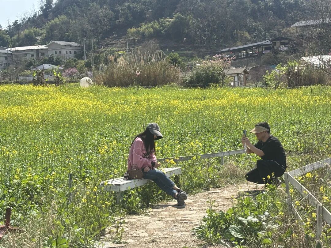 春满南明 “桃”醉永乐 永乐乡千亩花海次第绽放
