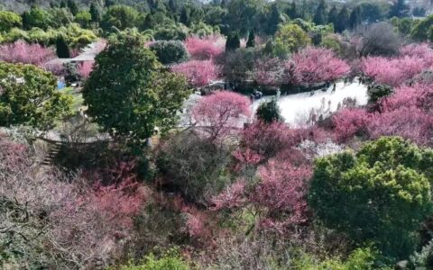 阿哈湖国家湿地公园“春日盛装”已上线