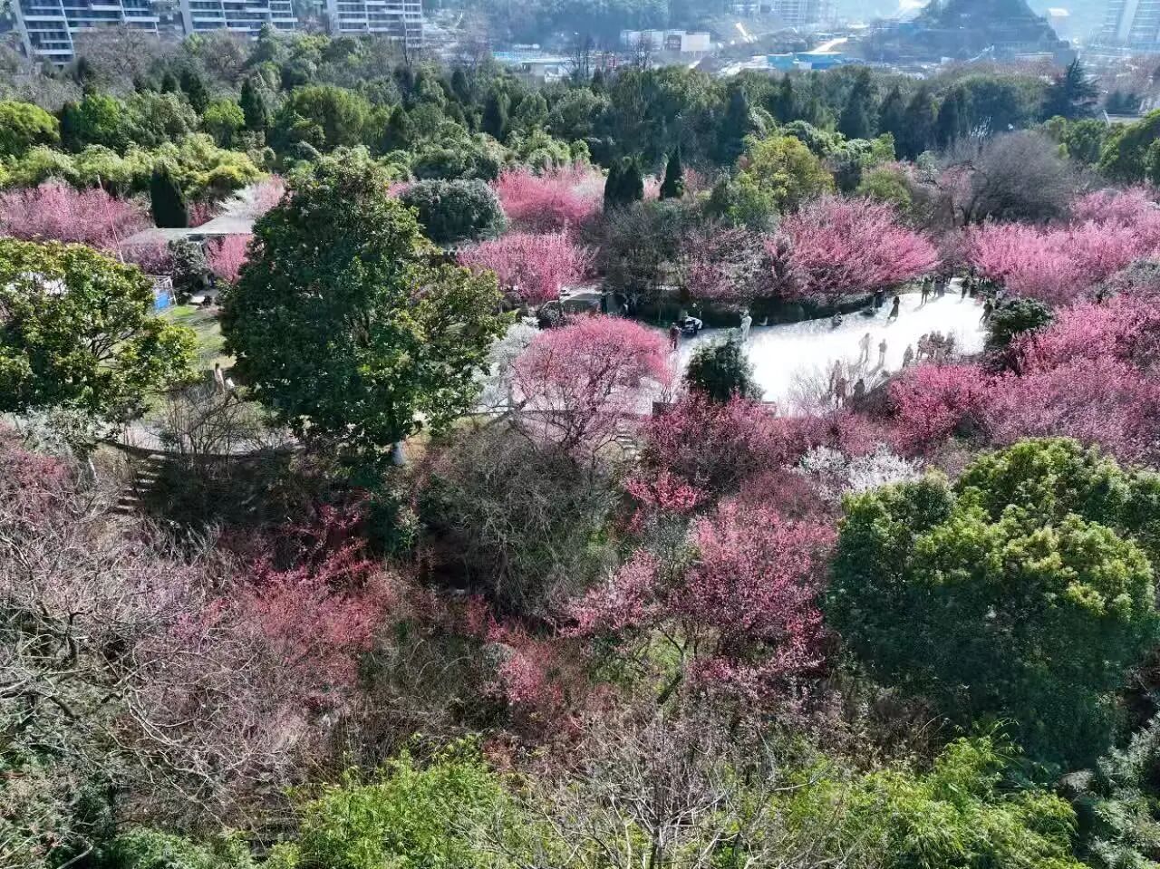 1.jpg 阿哈湖国家湿地公园“春日盛装”已上线