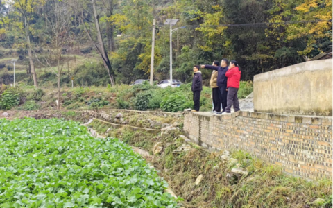 我为群众办实事 | 农技人员田间地头搞服务 助力百姓油菜保丰收