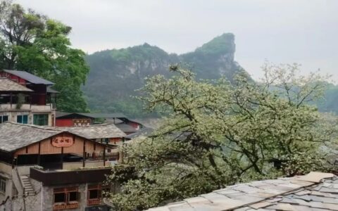 两清两改两治理｜石板镇：清改治理焕新颜 初夏石板花事繁