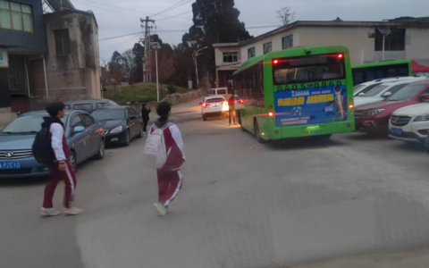 贵筑街道天鹅村：公交进村惠民生 乡村振兴添新章