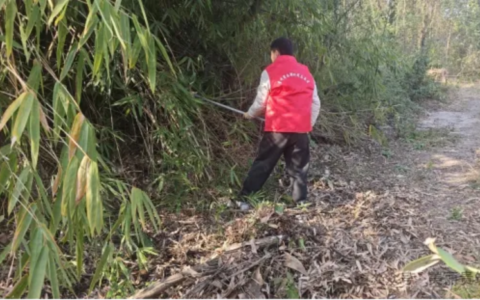 ​安全生产 | 贵筑街道：清理林下可燃物 筑牢森林“防火墙”