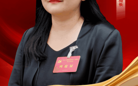 聚焦区委十二届九次全会｜闫青：深入实施“文旅活区”战略高质量建设全域文化旅游创新区