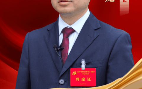 聚焦区委十二届九次全会 | 霍云龙：抓规划强产业促项目 助力全区高质量发展