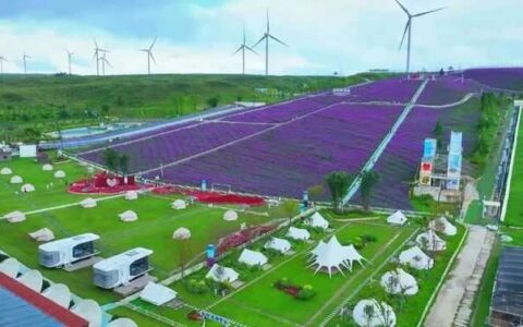 花溪高坡云顶花海2025年5月15日正式开园！