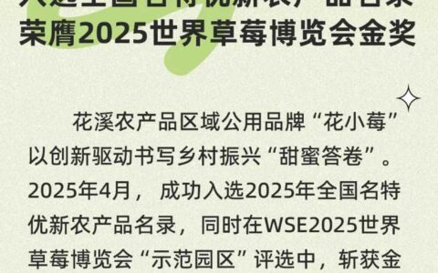 共赴莓好，花小莓连获两项荣誉