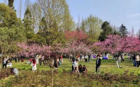 花溪公园：春暖花开引客来