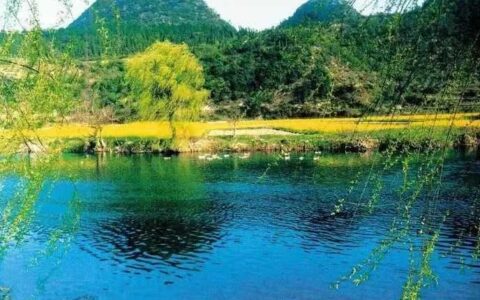 晨读花溪 | 郭湑渊：春在花溪里