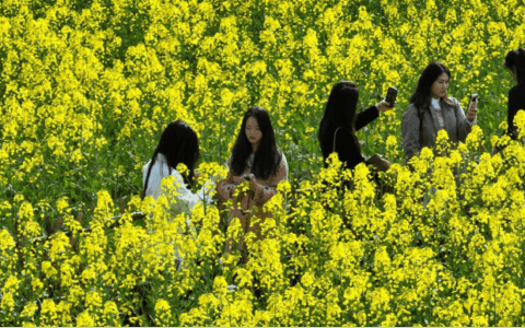 花溪区清明节旅游市场实现“双增长”接待游客95.28万人次创收5.68亿元