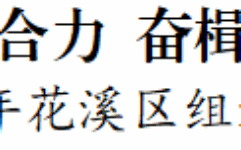 固本强基聚合力 奋楫扬帆启新程——2024年花溪区组织工作综述