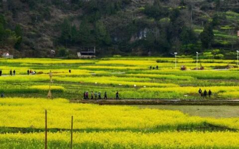秀美花溪：文旅融合绘新景 全域旅游绽芳华