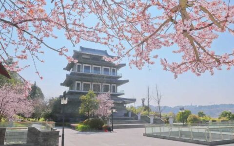 孔学堂春日邀请函：邀您踏青赏花听讲座！