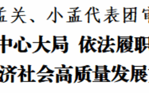 聚焦花溪区两会｜秦建军参加孟关、小孟代表团审议