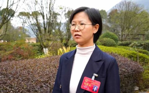 聚焦花溪区两会｜区人大代表分组审议区人大常委会工作报告