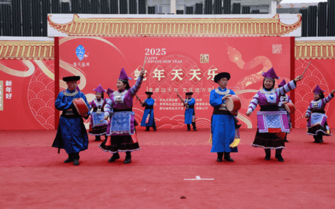 2025非遗过大年·文化进万家活动在花溪十字街举行