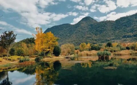 晨读花溪 | 皓冬：霜降大将山