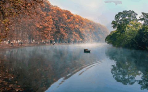 晨读花溪 | 贾庆祥：情摄花溪