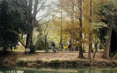 冬游花溪｜花溪十里河滩 冬日魅力不减