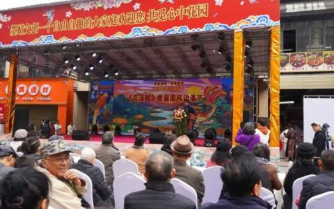​《花溪鲲》首届国风动漫节举行