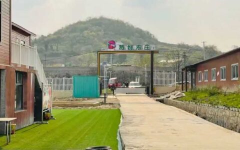 乡村振兴一线观察丨贵阳花溪：草莓产业为乡村振兴注入“甜蜜”活力