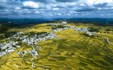 我看身边新变化 | 高坡新旅游环线：乡村旅游的璀璨明珠