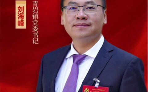 学习贯彻区委十二届八次全会精神·一把手访谈⑭| 青岩镇党委书记刘海峰：用好改革“关键招” 为高质量发展赋能添力