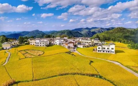 晨读花溪 | 刘燕成：高坡畅游