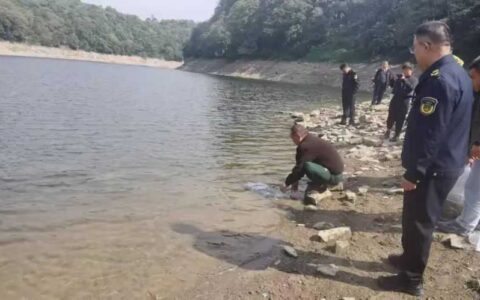 非法捕捞水产品当事人在花溪水库镇山段实施生态补偿