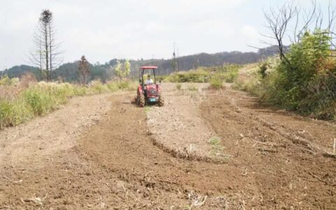 ​花溪区“三秋”粮油生产全面提速力保丰收