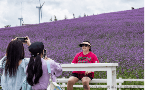 ​​花溪之夏·避暑季 | 花溪高坡：玩法不断上新 “赏花经济”持续升温