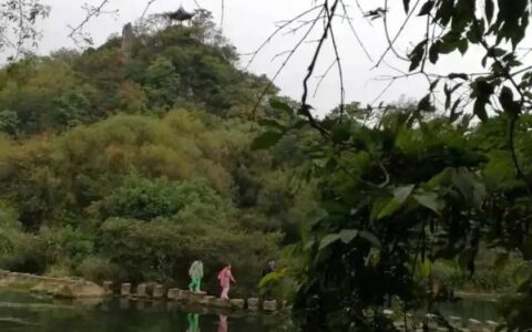 晨读花溪 | 朱登麟：花自在开，溪自在流(组诗)