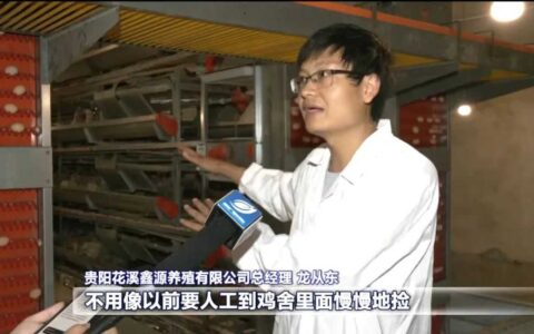 乡村行 看振兴｜花溪区：智能化蛋鸡养殖 尽显“科技范儿”