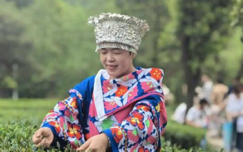 ​高质量发展代表在行动 | 从“茶小白”到“茶行家” 带领群众增收致富——记花溪区第十八届人大代表姚祖惠