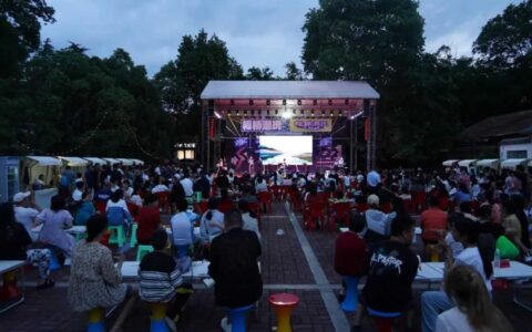 旅居花溪｜板桥潮玩音乐市集开市　沉浸式音乐盛宴燃情夏夜